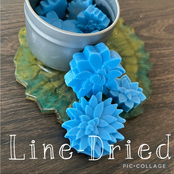 Hand Crafted Other - Line-Dried Wax Melts